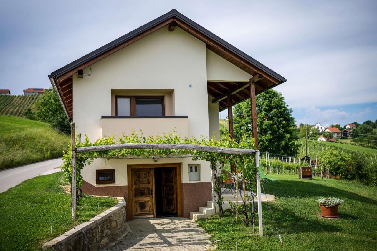 Holiday House Zlacka Gorca Pristava pri Mestinju Exterior photo